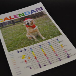CALENDARIO ANNUALE A3 PLASTIFICATO