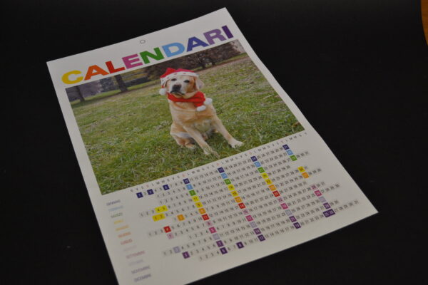 CALENDARIO ANNUALE A3 PLASTIFICATO