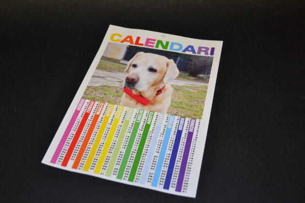 CALENDARIO ANNUALE A4
