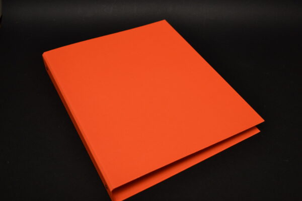 RACCOGLITORE AD ANELLI FLUO - immagine 7