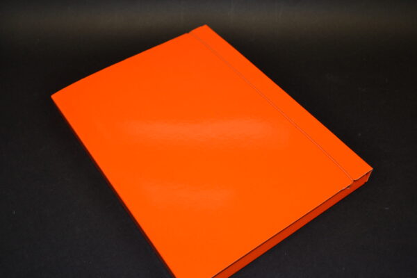 CARTELLINE PORTADOCUMENTI 3 LEMBI - immagine 4