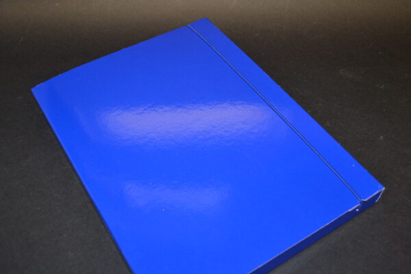 CARTELLINE PORTADOCUMENTI 3 LEMBI - immagine 5