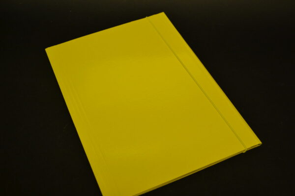 CARTELLINE PORTADOCUMENTI 3 LEMBI ELASTICO - immagine 5
