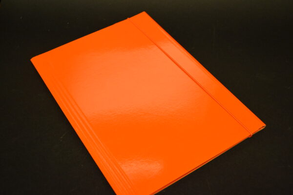 CARTELLINE PORTADOCUMENTI 3 LEMBI ELASTICO - immagine 2