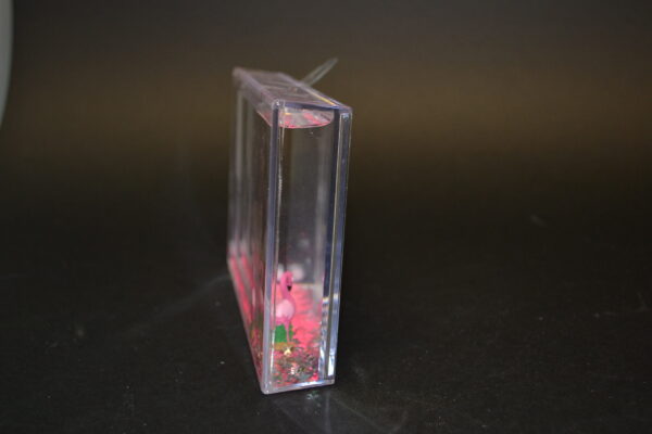 PORTAFOTO FENICOTTERO - immagine 3