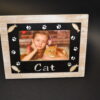 CORNICE CAT
