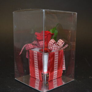 ROSA ROSSA 20