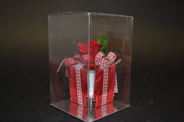 ROSA ROSSA 20